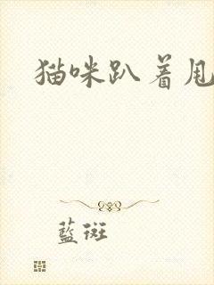 猫咪趴着甩尾巴