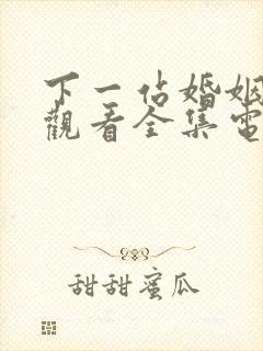 下一站婚姻免费观看全集电视剧