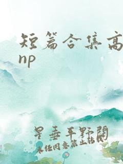 短篇合集高h np