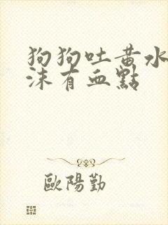 狗狗吐黄水带泡沫有血点