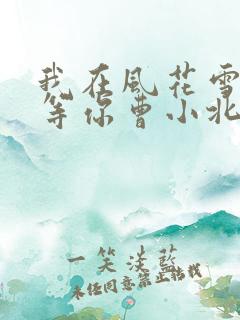 我在风花雪月里等你曹小北结局