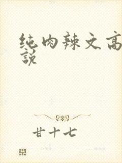 纯肉辣文高h小说