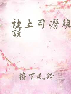 被上司潜规则小说