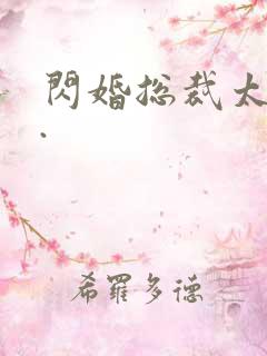 闪婚总裁太霸道.