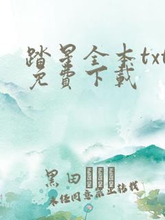 踏星全本txt免费下载