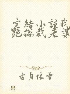 完结小说我的冷艳总裁老婆