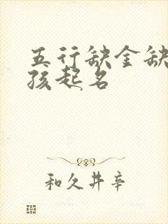 五行缺金缺火男孩起名