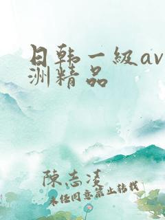 日韩一级av亚洲精品