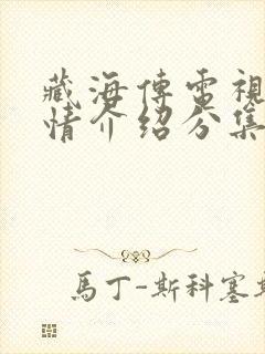 藏海传电视剧剧情介绍分集