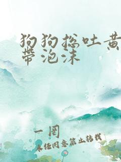 狗狗总吐黄水是带泡沫