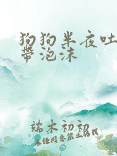 狗狗半夜吐黄水带泡沫