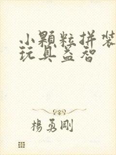 小颗粒拼装积木玩具益智