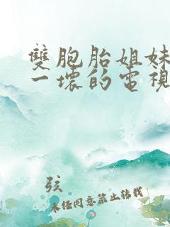 双胞胎姐妹一好一坏的电视剧