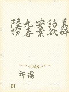 陆九安的真实身份春棠欲醉