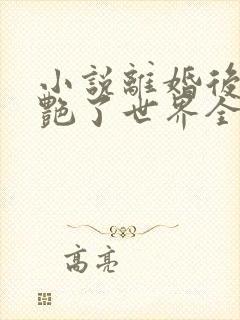 小说离婚后她惊艳了世界全文阅读