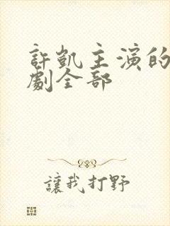 许凯主演的电视剧全部