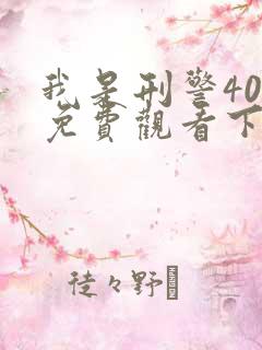 我是刑警40集免费观看下载