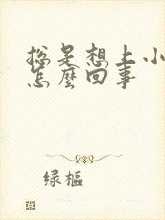 总是想上小便是怎么回事