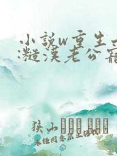 小说w重生七零:糙汉老公宠妻成瘾》