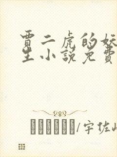 贾二虎的妖孽人生小说免费阅读