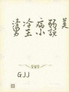 清冷病弱美人双男主小说