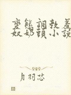 变态调教羞辱贱奴奶头小说