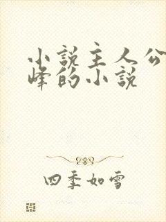 小说主人公叫林峰的小说