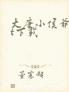 大唐小侯爷txt下载