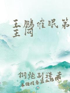 王鹏催眠第一版主网