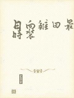 日向雏田最终章时装