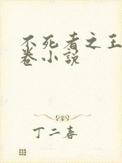 不死者之王14卷小说