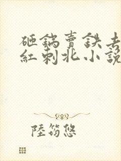 砸锅卖铁去上学红刺北小说最新章节下载