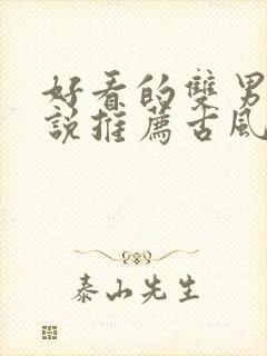 好看的双男主小说推荐古风