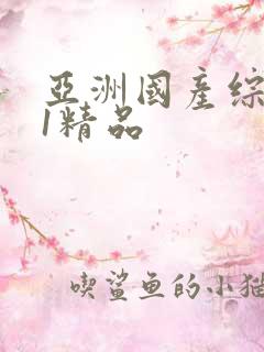 亚洲国产综合91精品