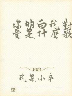 你明白我对你的爱是什么歌