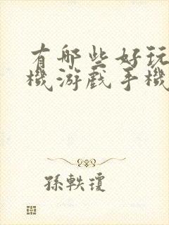 有哪些好玩的单机游戏手机