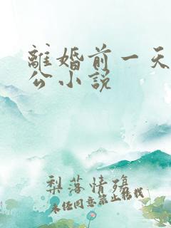 离婚前一天和老公小说