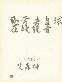 飞奔去月球高清在线观看