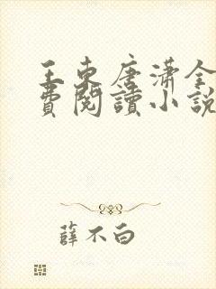 王东唐潇全本免费阅读小说