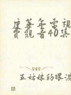 度华年电视剧免费观看40集