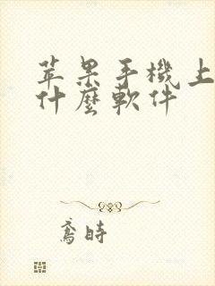 苹果手机上网用什么软件