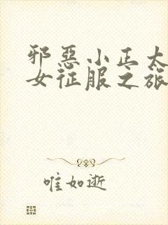 邪恶小正太的熟女征服之旅txt