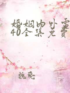 婚姻内外电视剧40全集免费观看