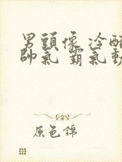 男头像 冷酷 帅气 霸气动漫