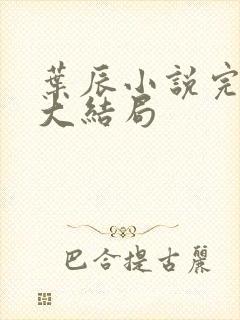 叶辰小说完整版大结局