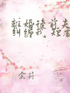 离婚后前夫总想纠缠我 短剧