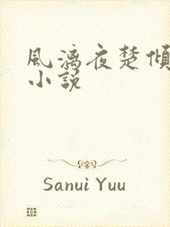 风漓夜楚倾歌的小说