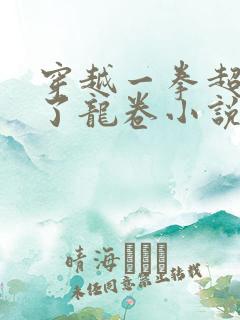 穿越一拳超人娶了龙卷小说