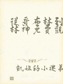 从哥布林到哥布林神免费观看完整版