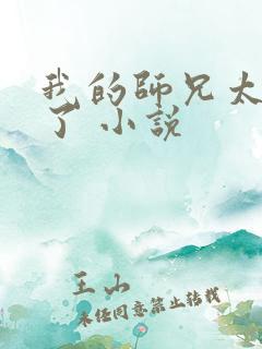 我的师兄太稳健了 小说